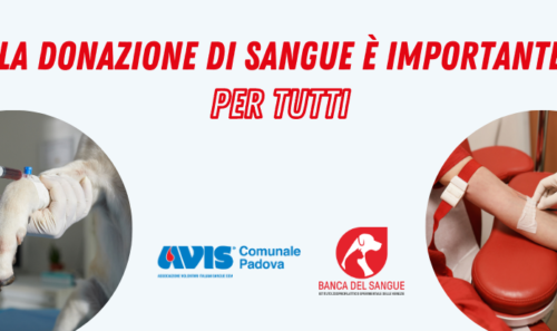 La solidarietà non conosce confini, nemmeno tra specie.