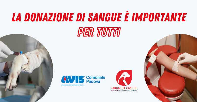 La solidarietà non conosce confini, nemmeno tra specie.